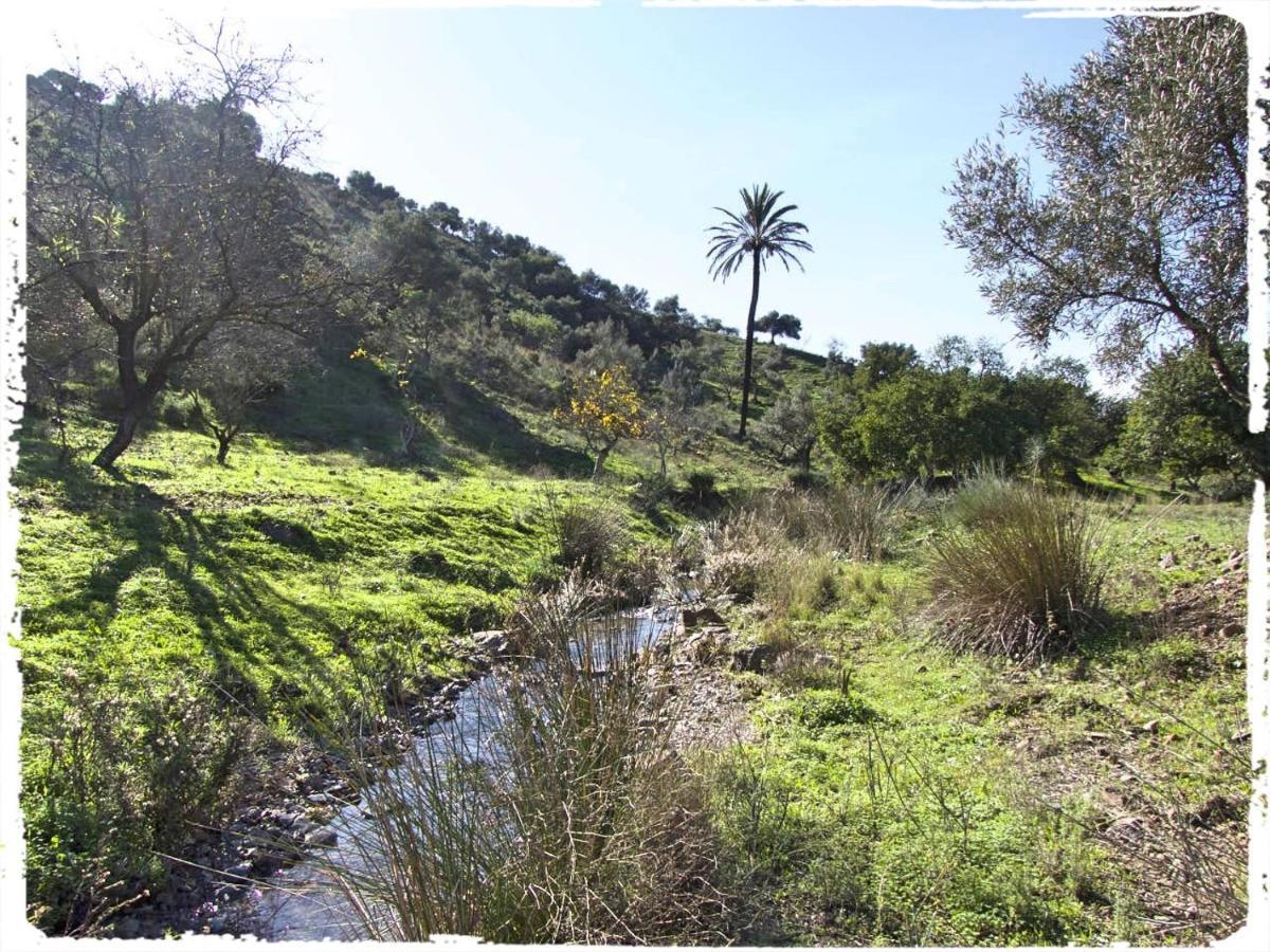 Villa Cortijo Casas Viejas Málaga Esterno foto