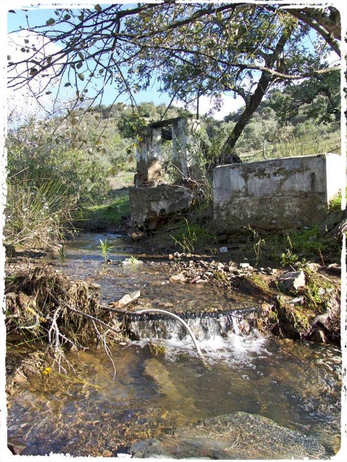 Villa Cortijo Casas Viejas Málaga Esterno foto
